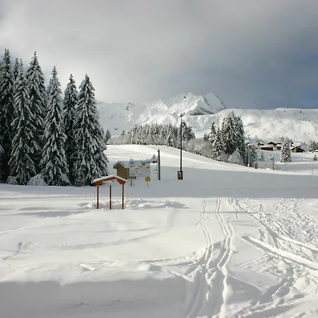 דירה Studio-cabine Au Praz De Lys, 4 Pers, Proche Pistes - Fr-1-815-30 *